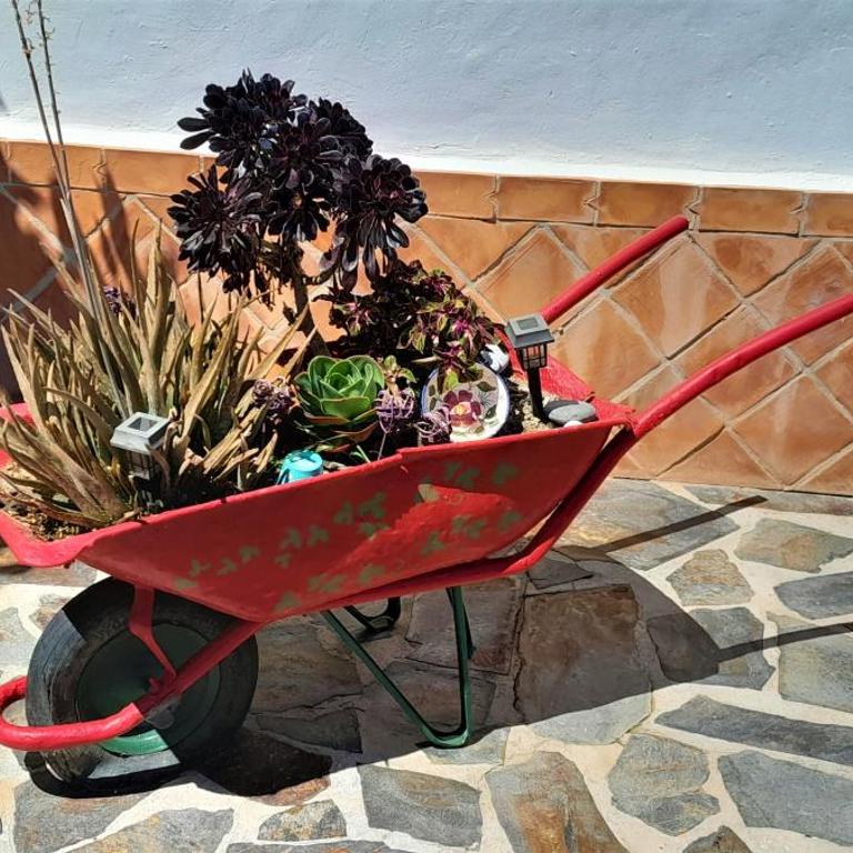 Villa Bella Sirena - Casa - 7