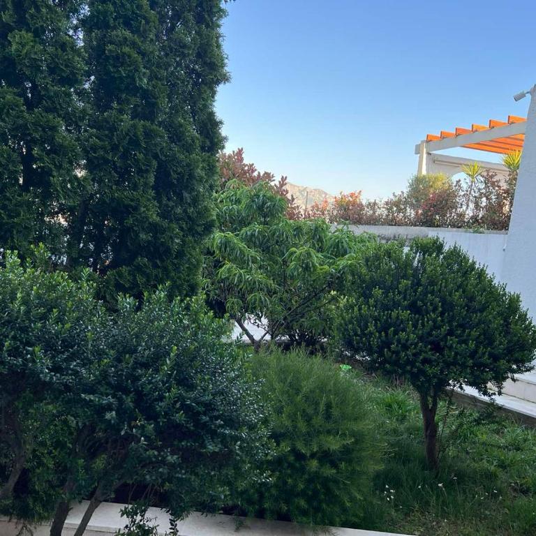 Vidikovac Budva - Studio s Pogledom na Vrt - 1