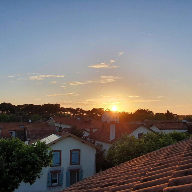 Appartement sur Terrasse - Appartement 3 Chambres - 7