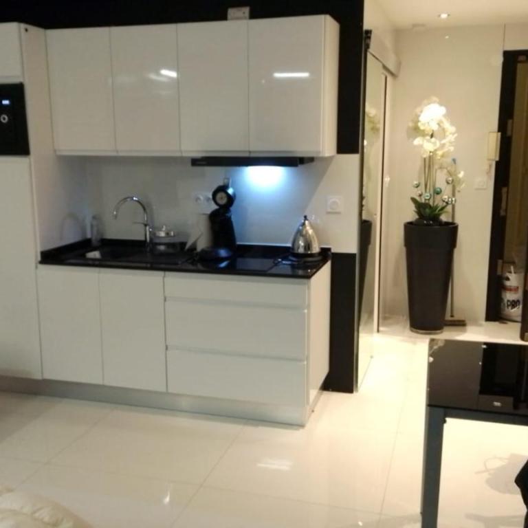 Eider croisette - Apartamento de 1 dormitorio - 8