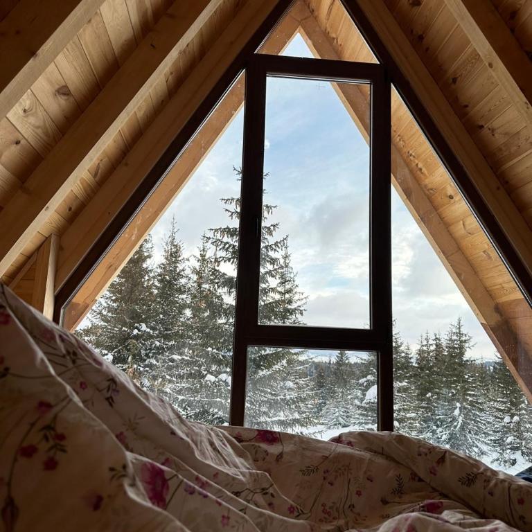 Wonderwood - cabin 1 - Two-Bedroom House - 10
