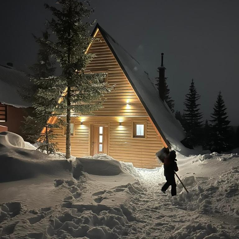 Wonderwood - cabin 1 - Two-Bedroom House - 14