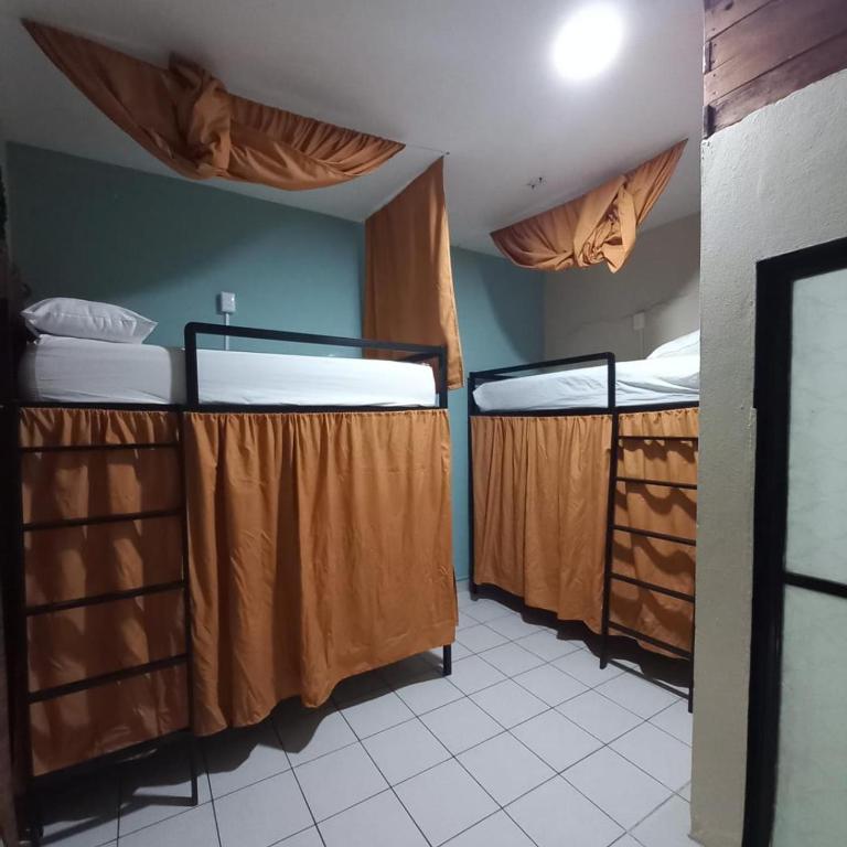 Chante - Cama en habitación compartida masculina de 4 camas - 3