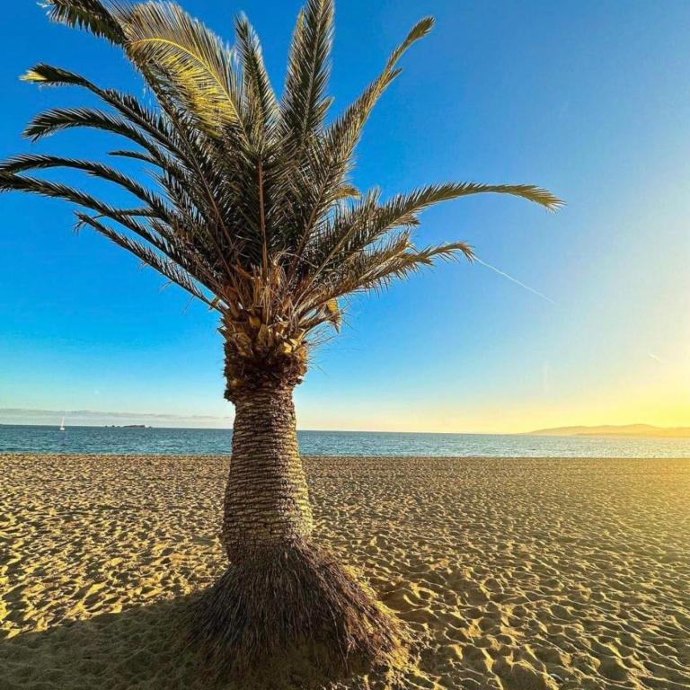 Apartment 4 guests with access to the beachFréjus - Appartement - 36