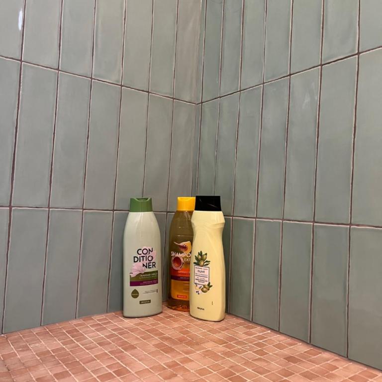 Apartamento La Biznaga - Apartamento de 3 dormitorios - 34