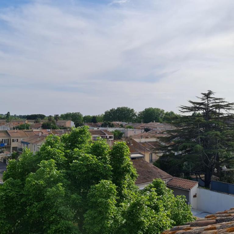 Le Cocon de la République T3 Mezzanine Belle vue plein Sud sans vis à vis dans une petite Résidence très calme Agde Centre - Appartement 2 Chambres - 39