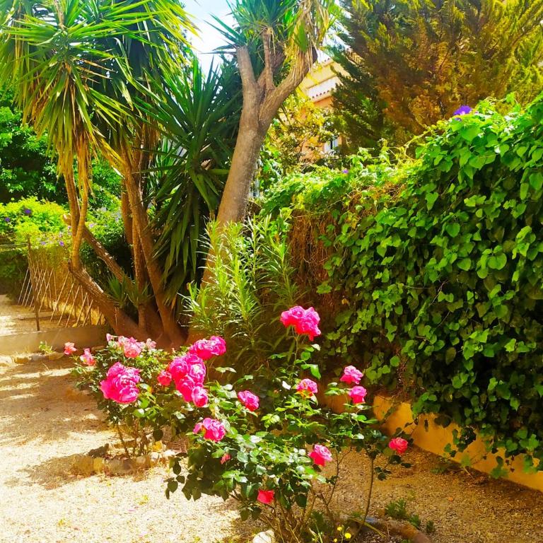 Chez Michel & jenny Appartement 100m2 Perpignan parking gratuit - Apartment mit 2 Schlafzimmern - 22