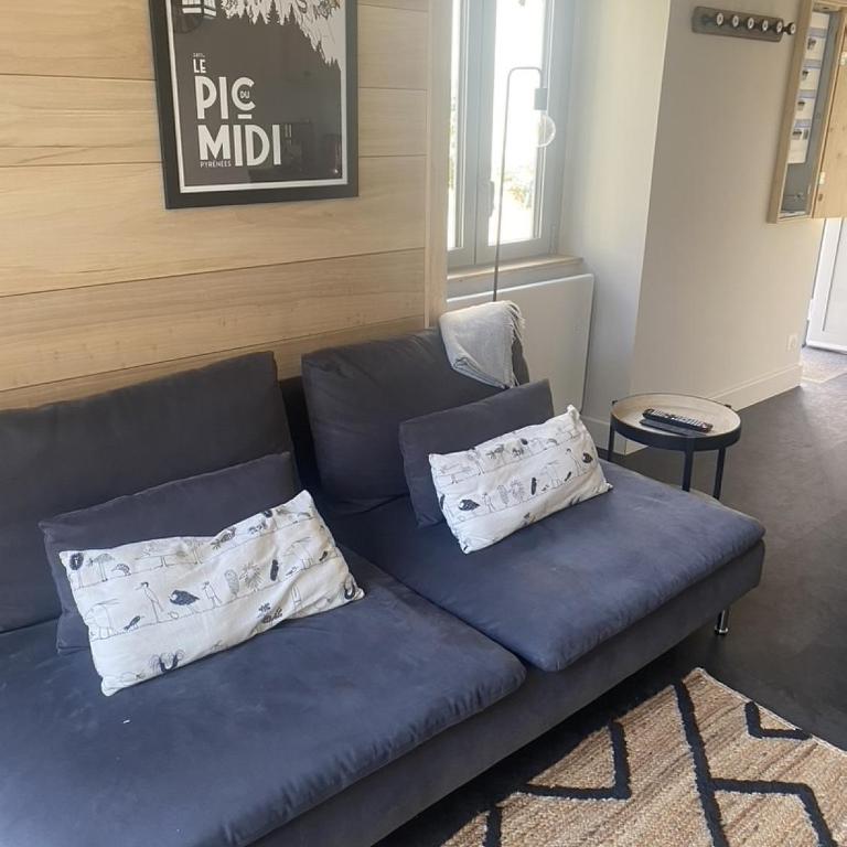 Ginkobiloba : Appartement cosy en cœur de ville - Appartement 1 Chambre - 6