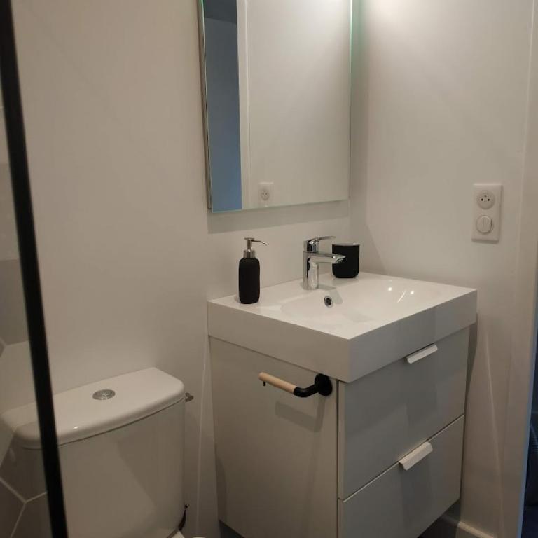 Ginkobiloba : Appartement cosy en cœur de ville - Appartement 1 Chambre - 11