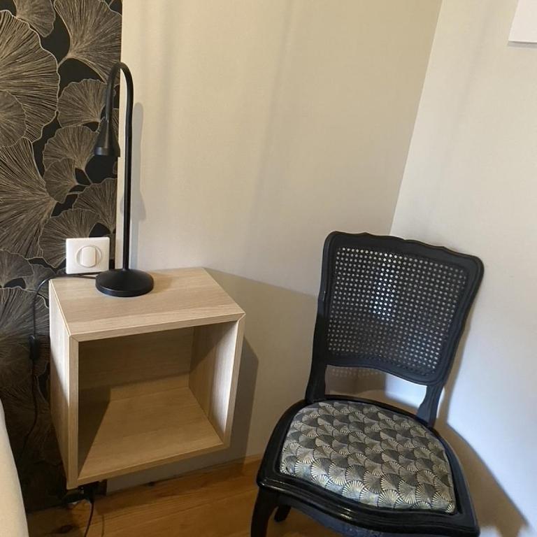 Ginkobiloba : Appartement cosy en cœur de ville - Appartement 1 Chambre - 15