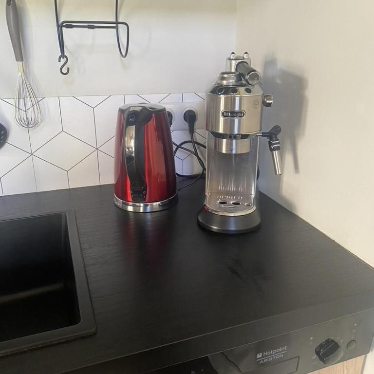 Ginkobiloba : Appartement cosy en cœur de ville - Appartement 1 Chambre - 18