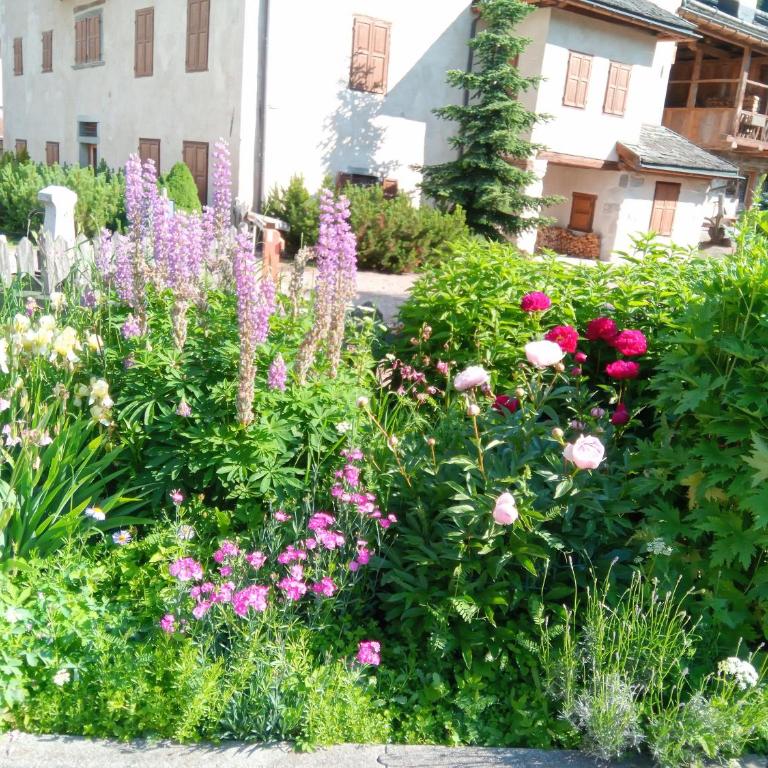 Da Carla Dolomiti Val di Zoldo - Appartamento con 2 Camere da Letto - 29