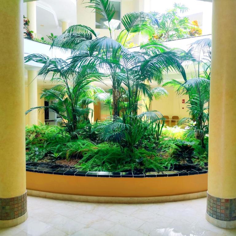 El Nautico Suites, the beachfront Paradise - Apartamento de 1 dormitorio - 10