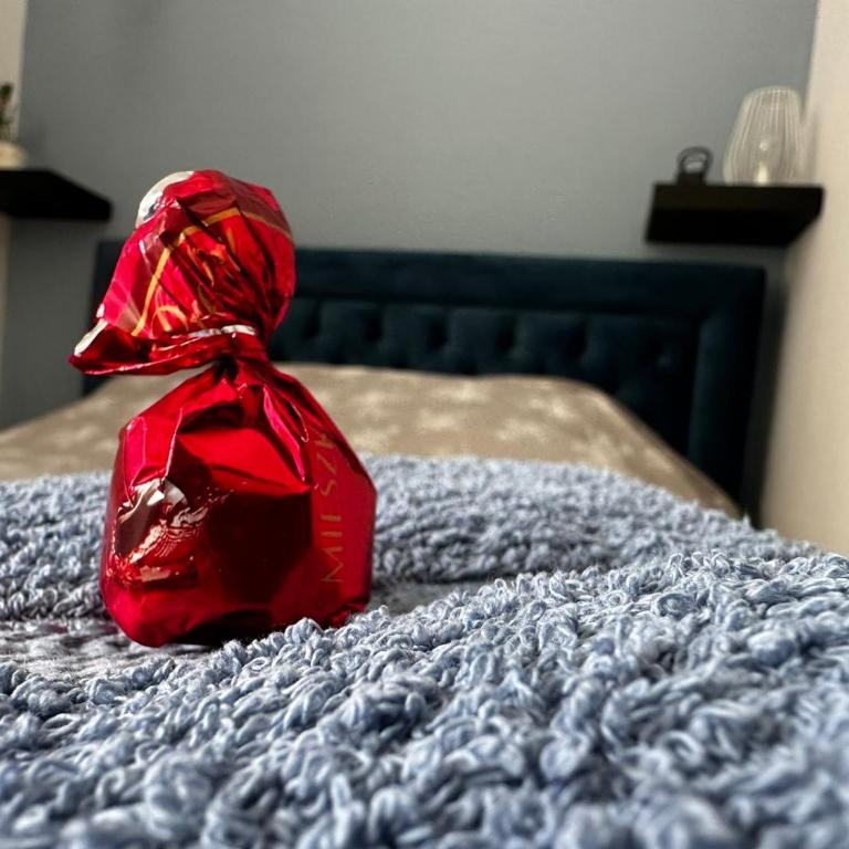 Pure of joy City Centre Apartment - One-Bedroom Apartment - 22