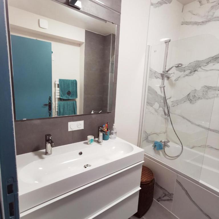 Grand Appartement Familial, Tours Centre, Parking - Apartamento de 3 dormitorios - 14