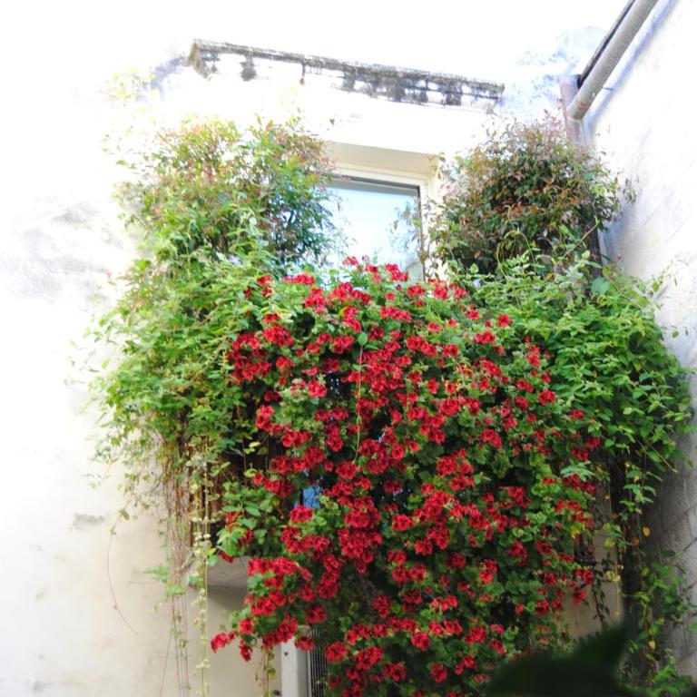 FLO House BARI - Appartamento con 1 Camera da Letto - 7