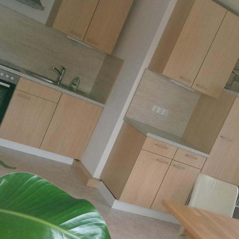 Ferienwohnungen Miklautsch - Apartment mit Balkon - 4