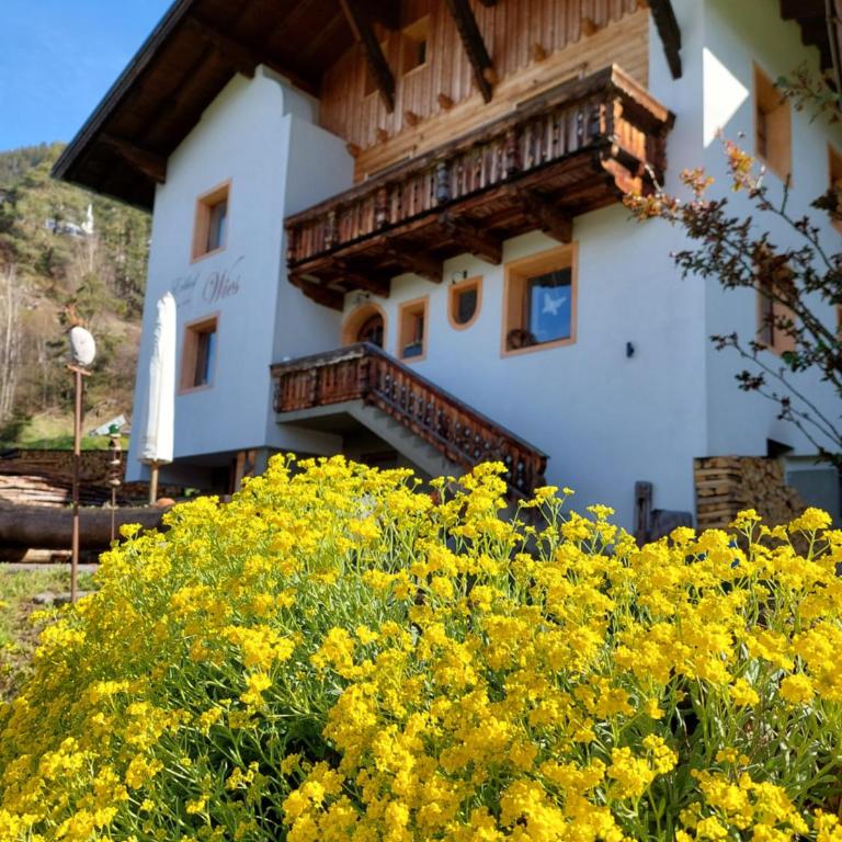 Wieserhof Tirol - Appartamento con Vista Montagna - 41