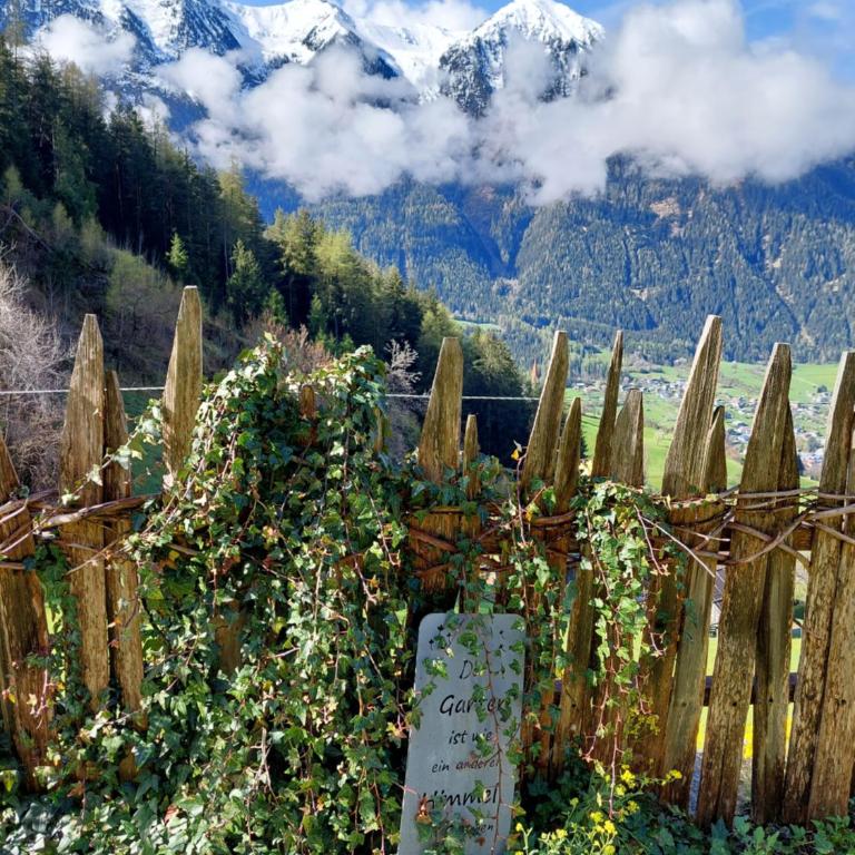 Wieserhof Tirol - Appartamento con Vista Montagna - 46