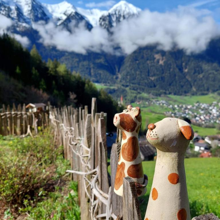 Wieserhof Tirol - Appartamento con Vista Montagna - 8
