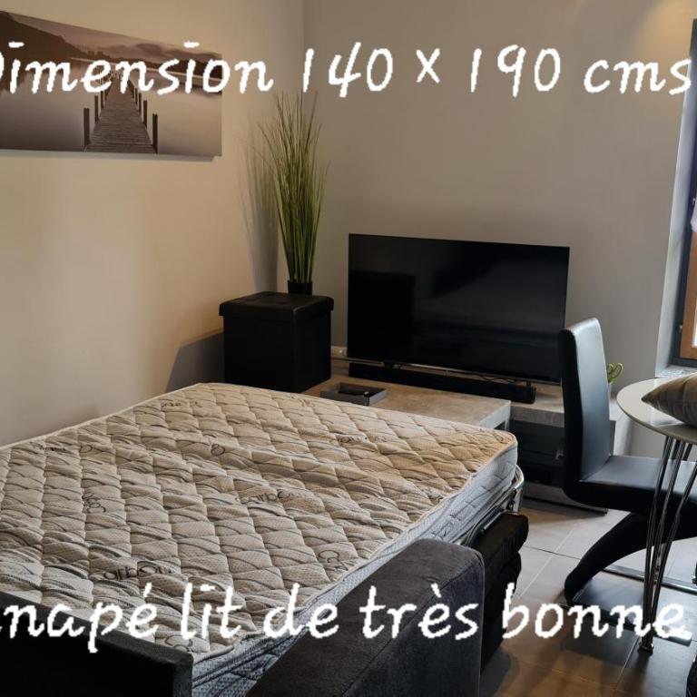 Le Cocon de la République T3 Mezzanine Belle vue plein Sud sans vis à vis dans une petite Résidence très calme Agde Centre - Appartement 2 Chambres - 21