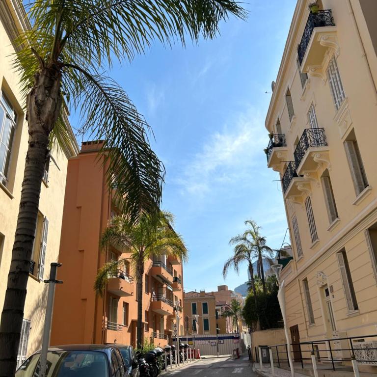 Luxury Monaco ! 7 mins walk to casino square ! Yacht show ! F1 ! 15 sec to Monaco ! - Appartement 1 Chambre - 9