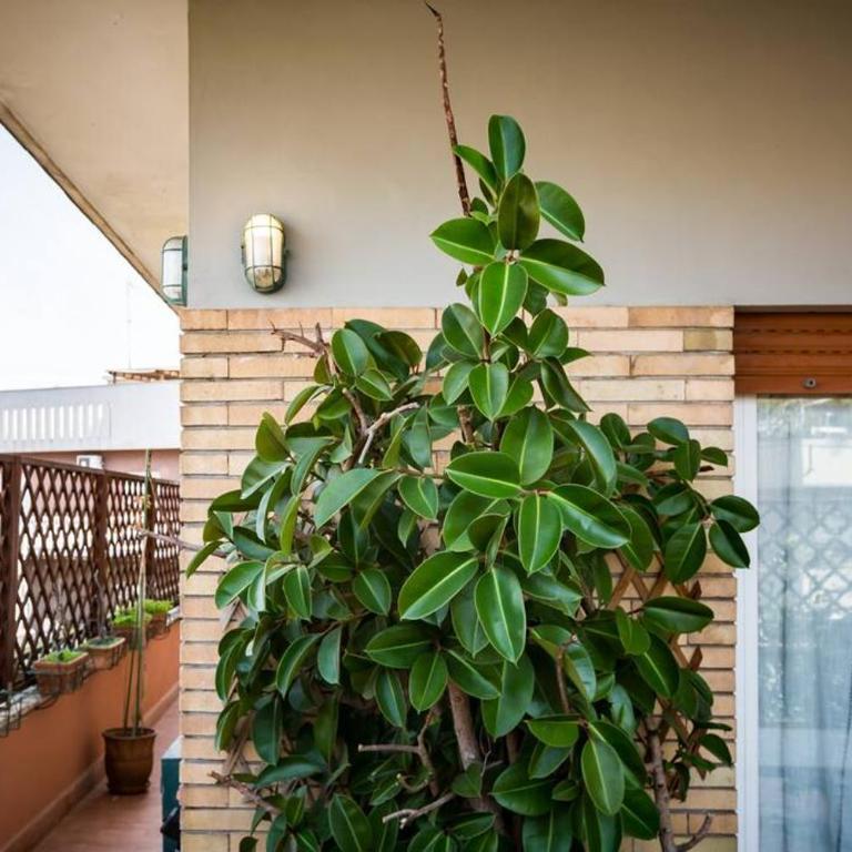 Delizioso attico a Talenti - Penthouse-Apartment - 32