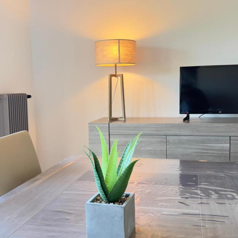 Appartement lumineux entre plage et montagne - Appartement 2 Chambres - 7