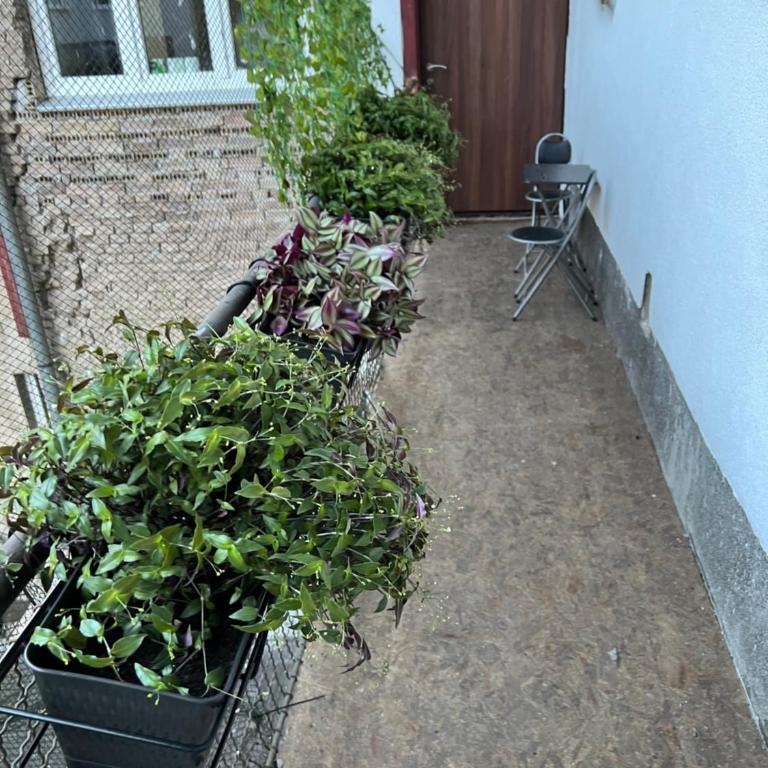 Le Royal Suites Sarajevo - City Center - Apartman sa 2 Spavaće Sobe - 27
