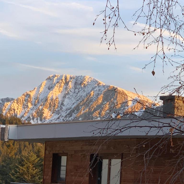 Appartement Chamrousse - Appartamento con 1 Camera da Letto - 14