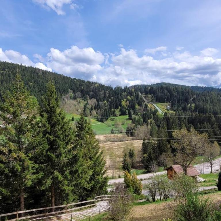 Chalet de la Grimpette au coeur de Gérardmer - Chalet 2 Chambres - 19