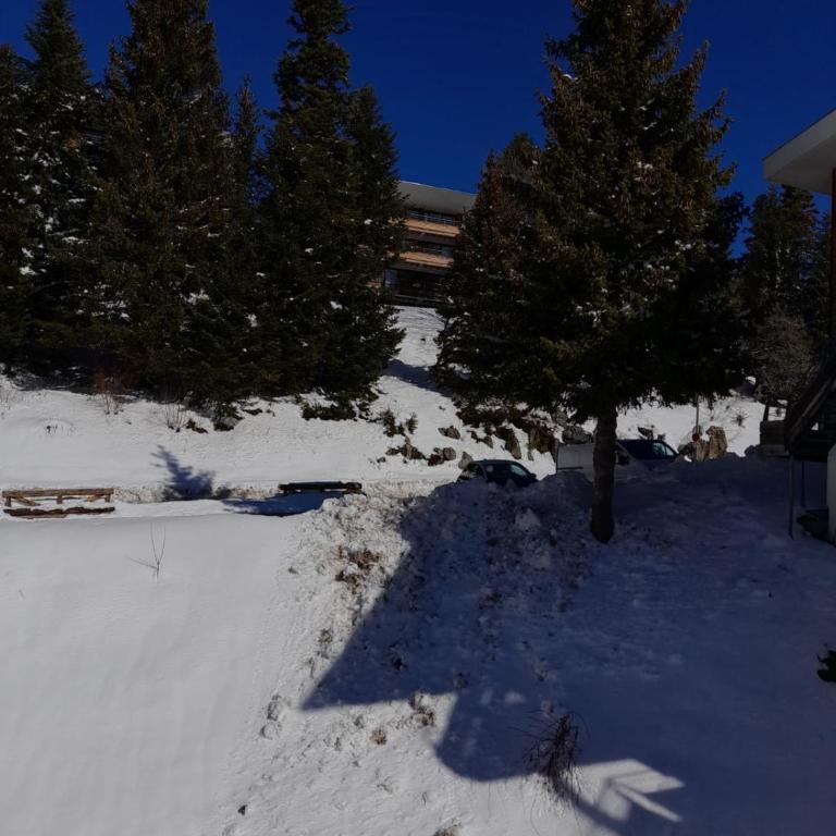 Appartement Chamrousse - Appartamento con 1 Camera da Letto - 22