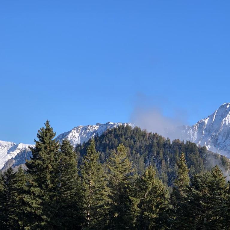 Appartement Chamrousse - Appartamento con 1 Camera da Letto - 17