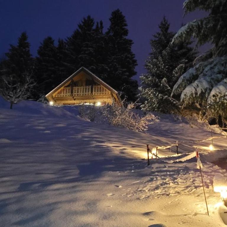 Chalet de la Grimpette au coeur de Gérardmer - Chalet 2 Chambres - 23