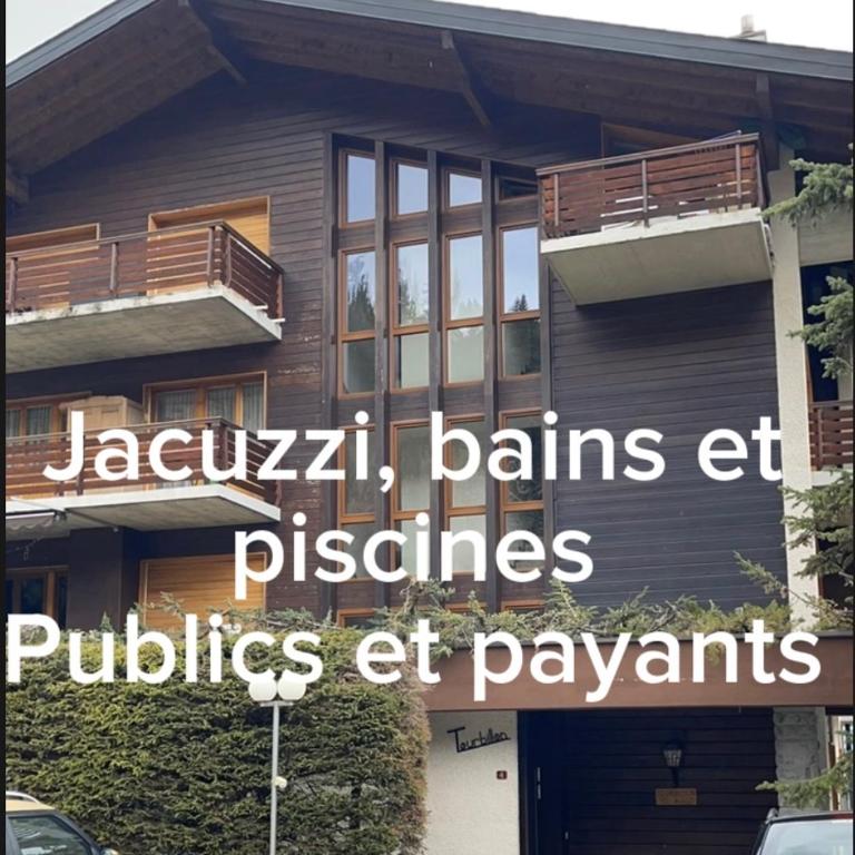 Grand studio à Ovronnaz - Appartement 1 Chambre - 22