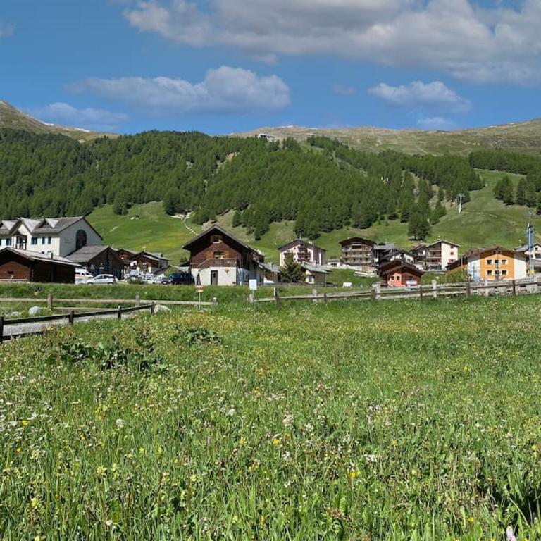 Appartamento Horizon - Livigno - One-Bedroom Apartment - 17