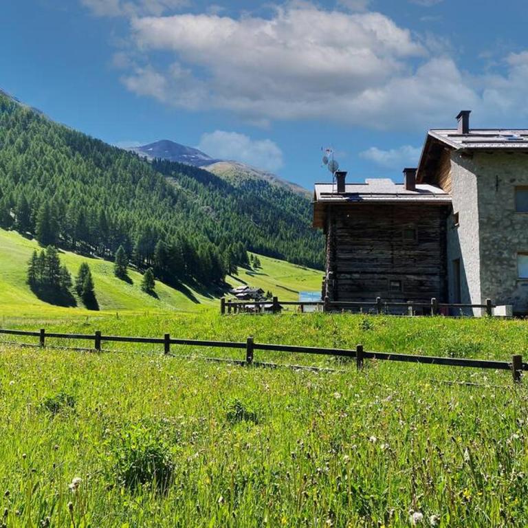 Appartamento Horizon - Livigno - One-Bedroom Apartment - 24