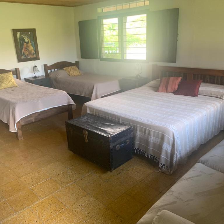 Alojamiento Rural Finca la Morena (Ecoturismo) - Habitación Cuádruple con baño privado - 7