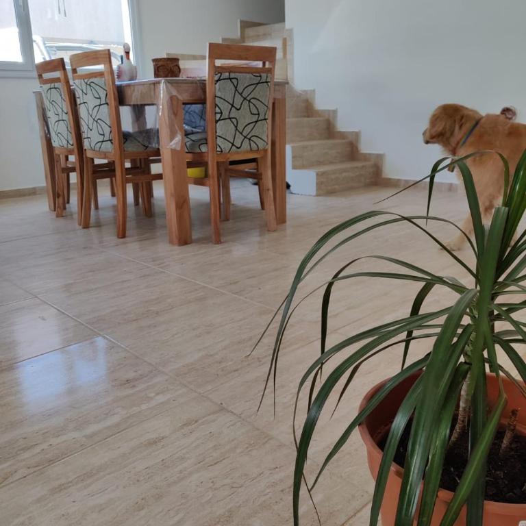Duplex Bosch - Casa de 3 dormitorios - 20