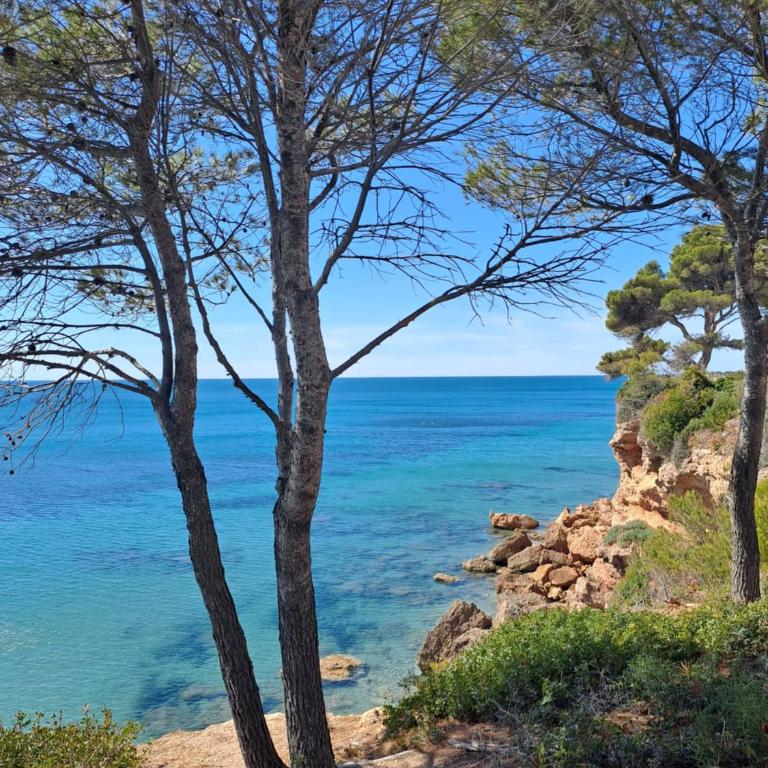 Résidence Maëlla - Apartamento de 2 dormitorios - 63