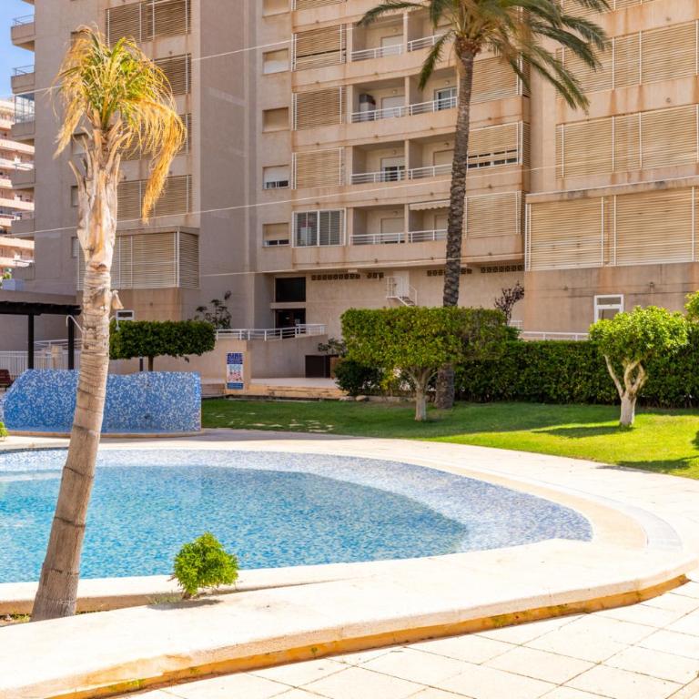 Apartamento Apolo XVI 16 - Grupo Turis - Apartamento - 25