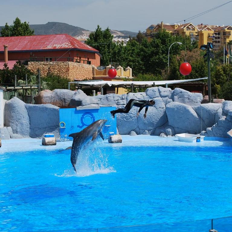 BenalSun - Apartamento - 49