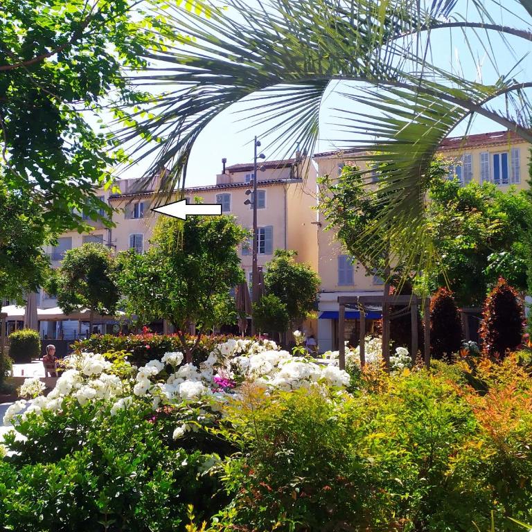 spacieux logement vieil antibes climatisé 5 minutes plages - Standard Apartment - 5