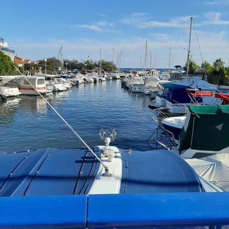 les îles d'or au port de Hyères grand studio climatisé - Apartamento de 1 dormitorio - 31
