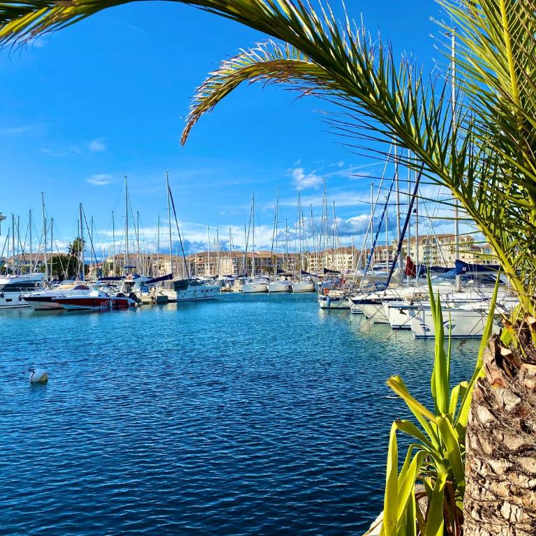 Port-Fréjus, LE CONSUL, appartement 2 pièces climatisé, terrasse & parking - Appartamento con 1 Camera da Letto - 21