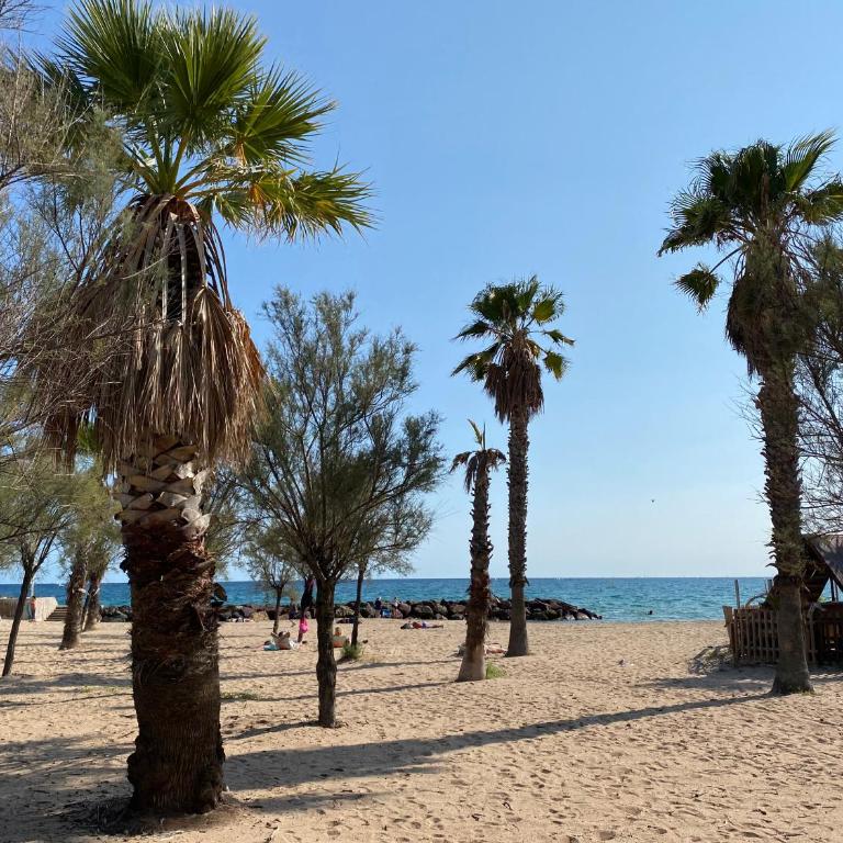 Port-Fréjus, LE CONSUL, appartement 2 pièces climatisé, terrasse & parking - Appartamento con 1 Camera da Letto - 44