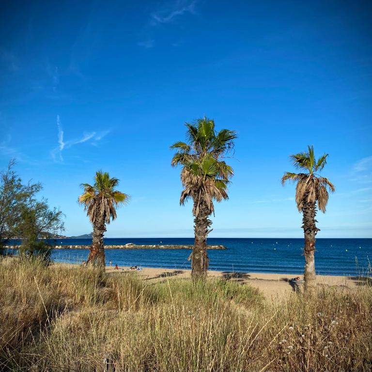 Port-Fréjus, LE CONSUL, appartement 2 pièces climatisé, terrasse & parking - Appartamento con 1 Camera da Letto - 61