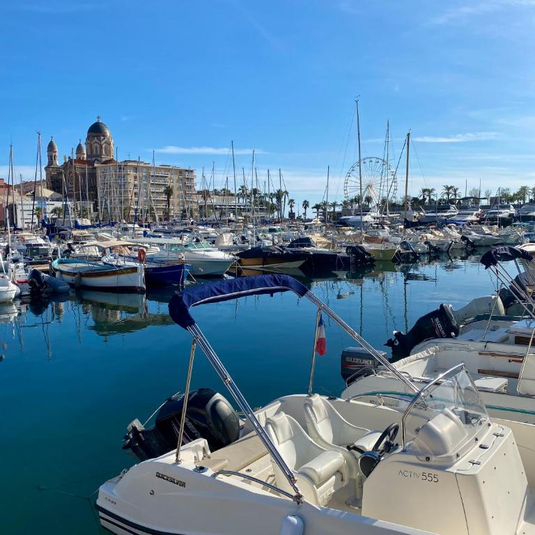 Port-Fréjus, LE CONSUL, appartement 2 pièces climatisé, terrasse & parking - Appartamento con 1 Camera da Letto - 88
