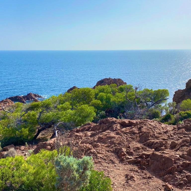 Port-Fréjus, LE CONSUL, appartement 2 pièces climatisé, terrasse & parking - Appartamento con 1 Camera da Letto - 76
