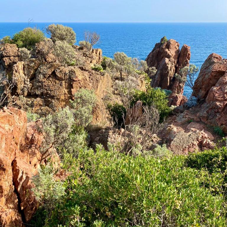 Port-Fréjus, LE CONSUL, appartement 2 pièces climatisé, terrasse & parking - Appartamento con 1 Camera da Letto - 79